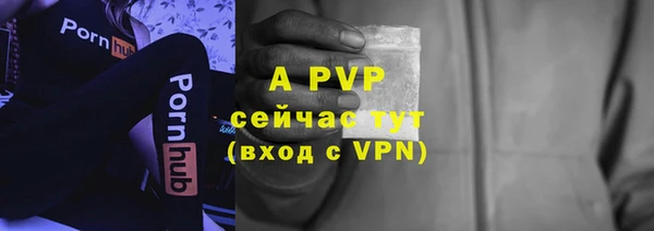 ПСИЛОЦИБИНОВЫЕ ГРИБЫ Богданович