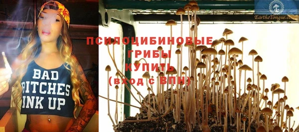 ПСИЛОЦИБИНОВЫЕ ГРИБЫ Богданович