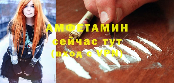 ПСИЛОЦИБИНОВЫЕ ГРИБЫ Богданович