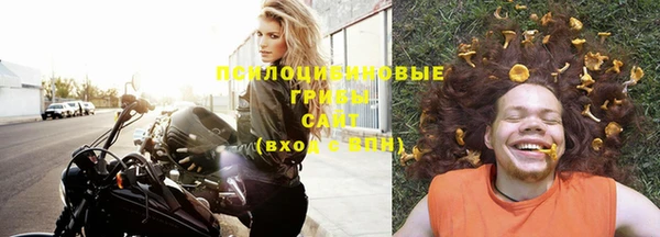 ПСИЛОЦИБИНОВЫЕ ГРИБЫ Богданович